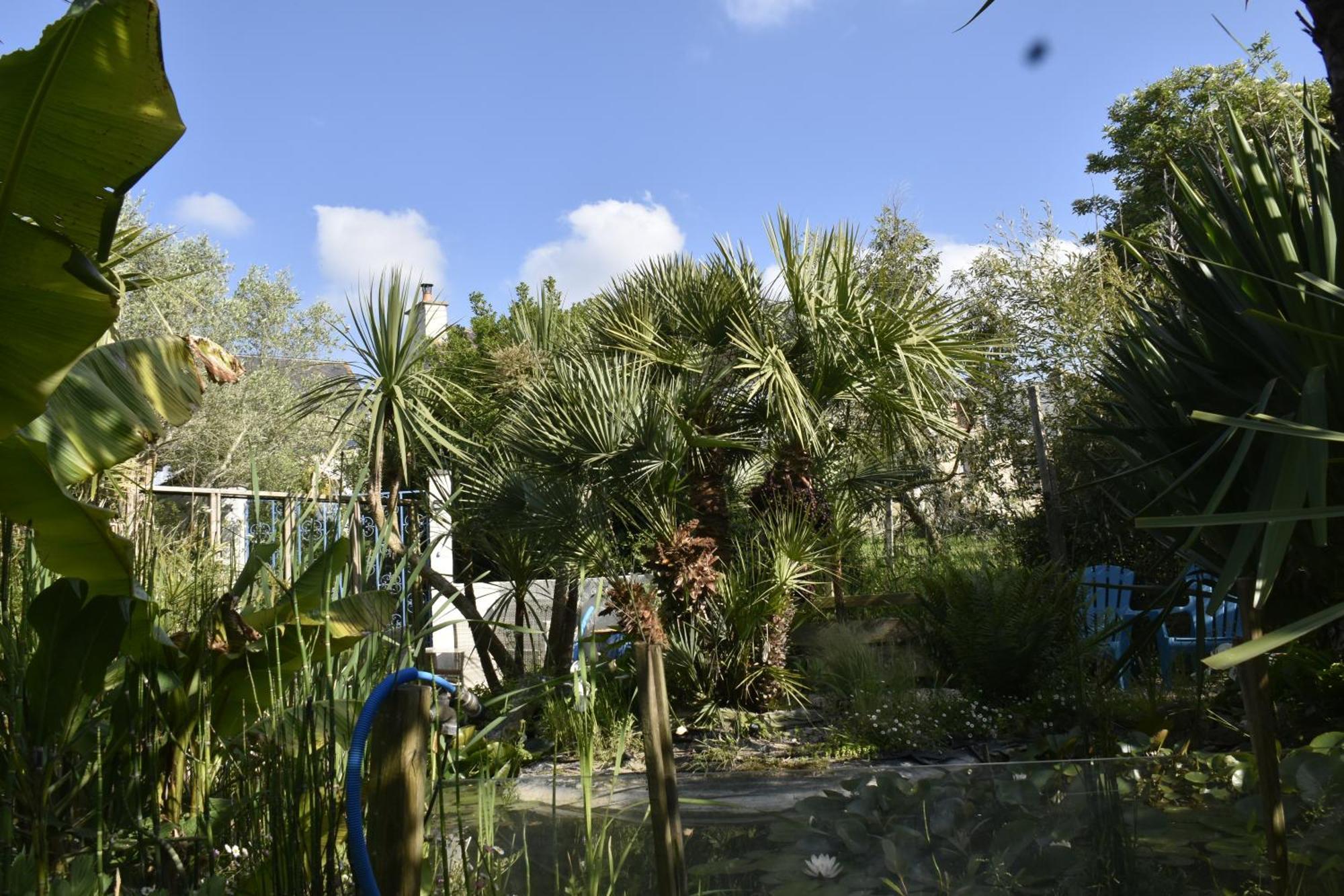 Gite "Rose Des Vents" - 800M De La Plage - Proche Commerces - Piscine En Juillet Et Aout Surtainville Exterior photo